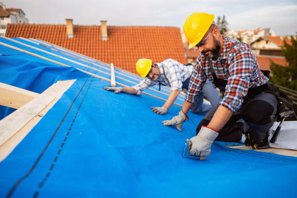 Best 4 Ply Roofing  in Forest City, PA