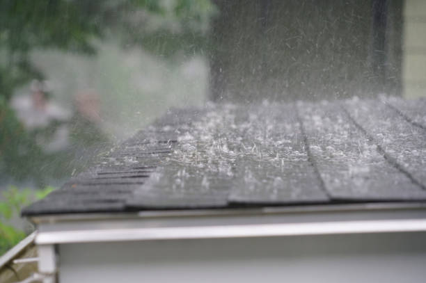 Best Roof Maintenance and Cleaning  in Forest City, PA