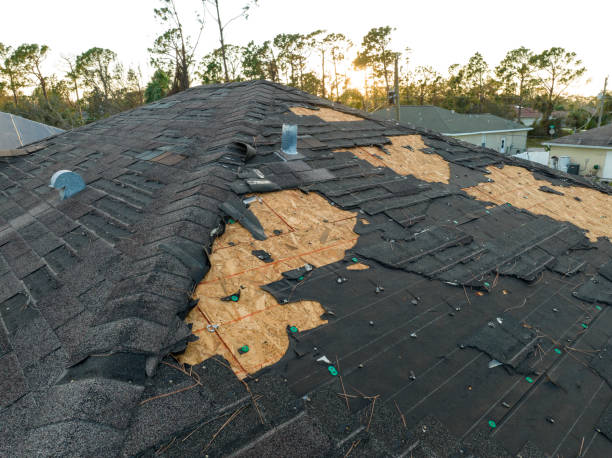 Best Emergency Roof Repair Services  in Forest City, PA